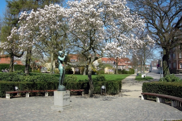 Best Western Plus Hotel Svendborg